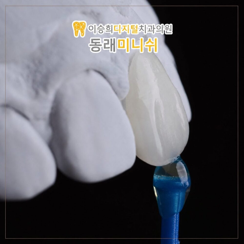 동래미니쉬